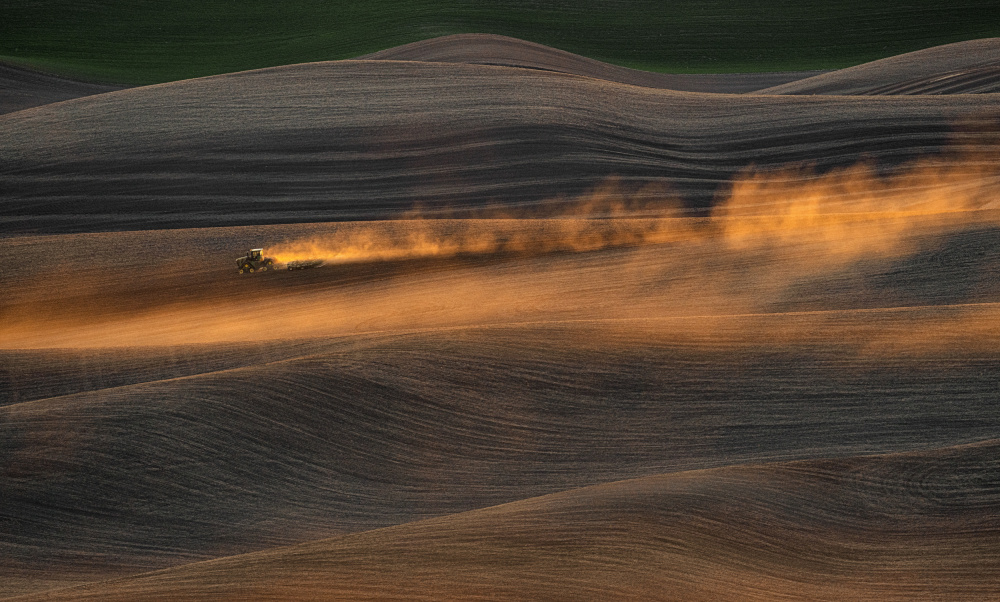 Golden Hour Farmland von Lydia Jacobs