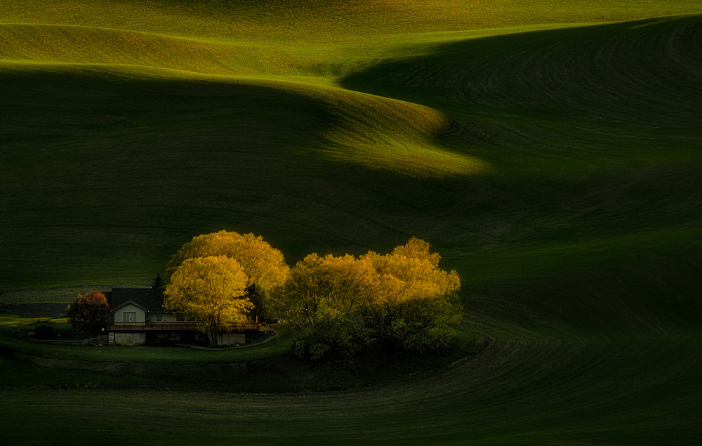 Farmhouse at Sunset von Lydia Jacobs