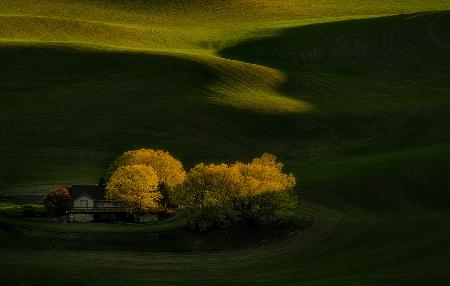 Farmhouse at Sunset