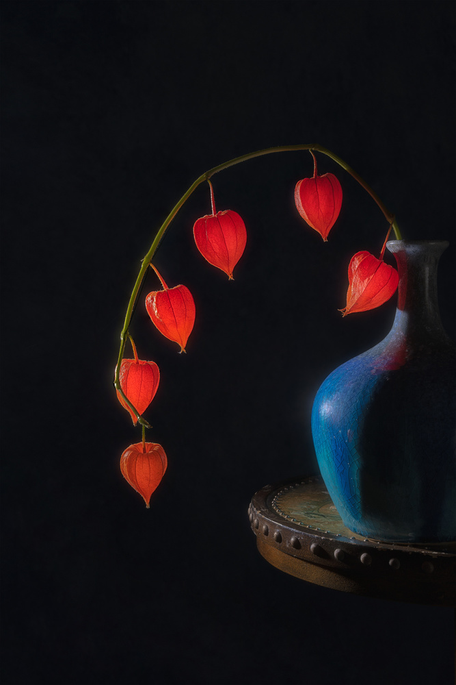 Chinese Lantern von Lydia Jacobs