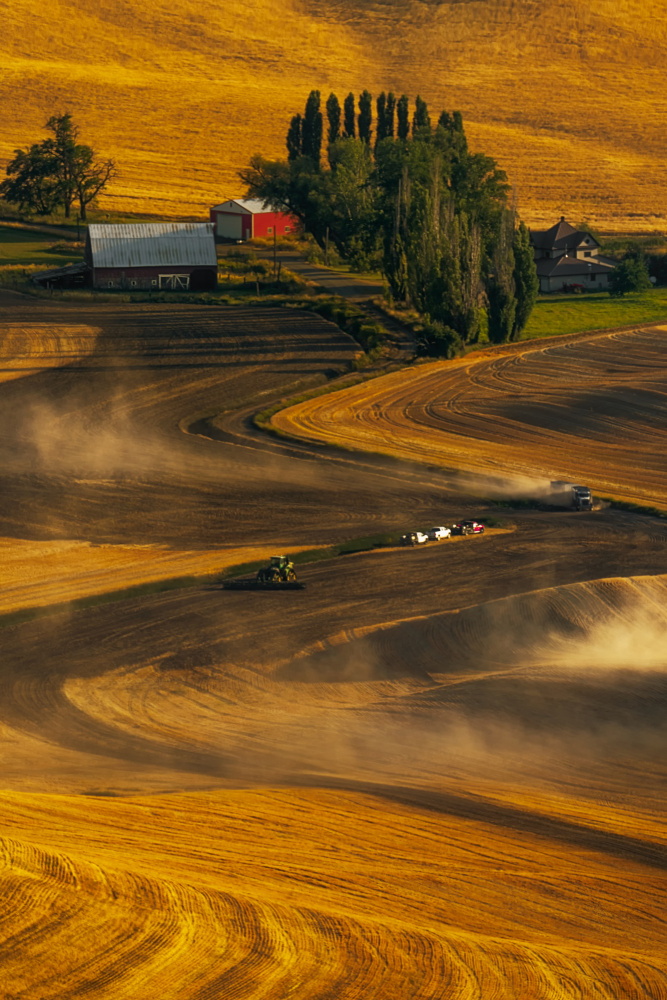 Busy Harvest Tractors von Lydia Jacobs