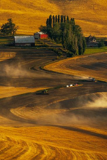 Busy Harvest Tractors