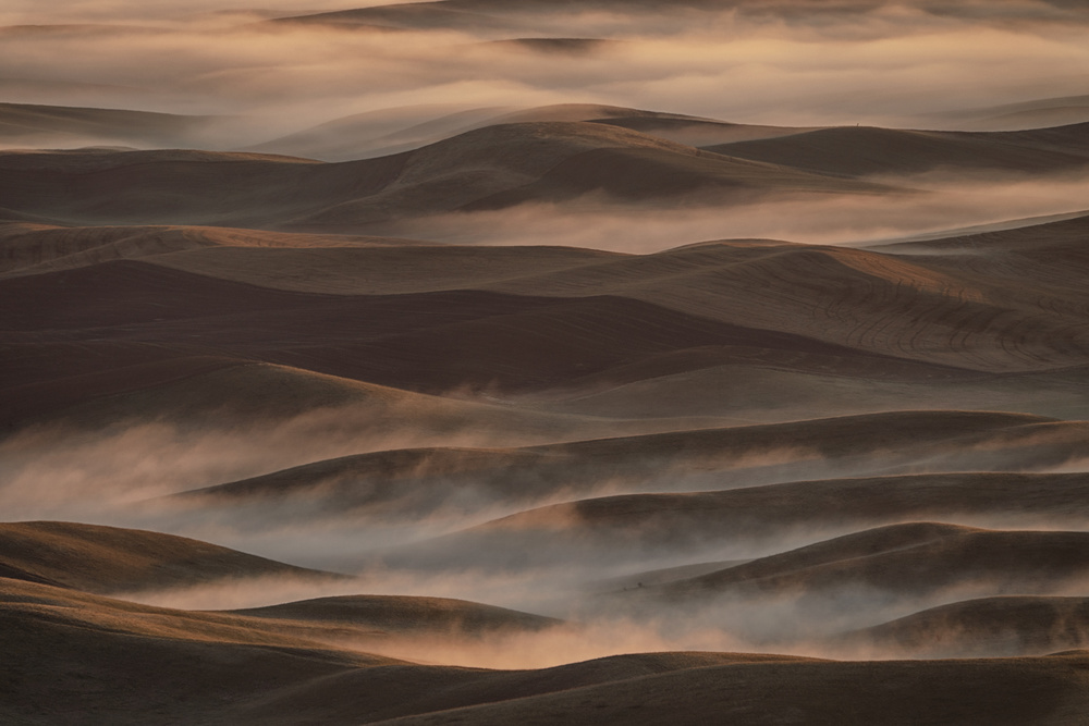 Early Spring Morning at Palouse von Lydia Jacobs