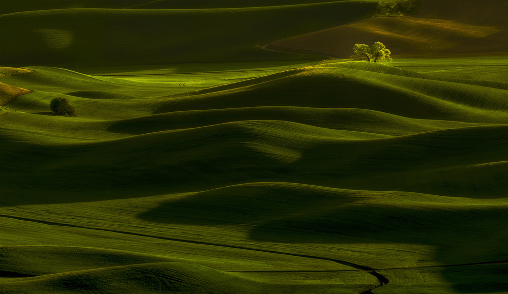 Spring Rolling Hills von Lydia Jacobs