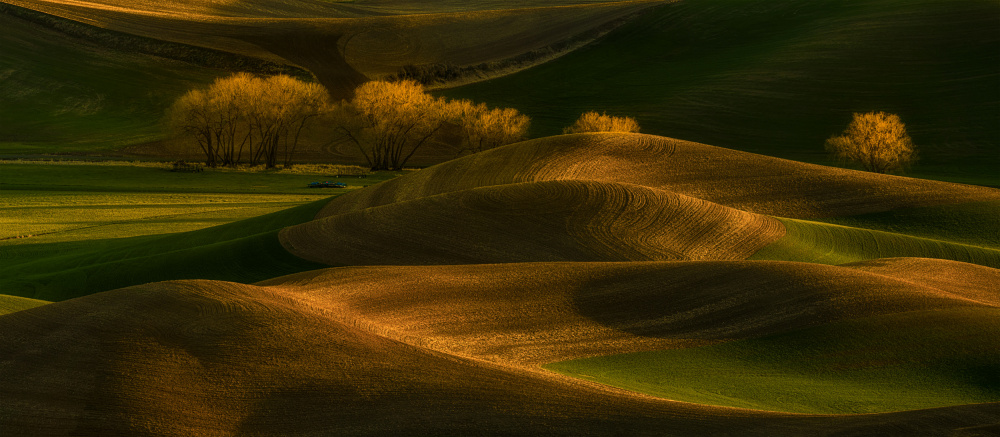 Spring Wheatfield von Lydia Jacobs