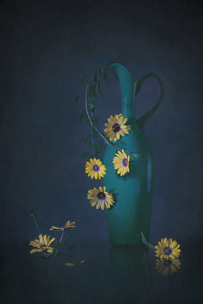 Yellow Daisies von Lydia Jacobs