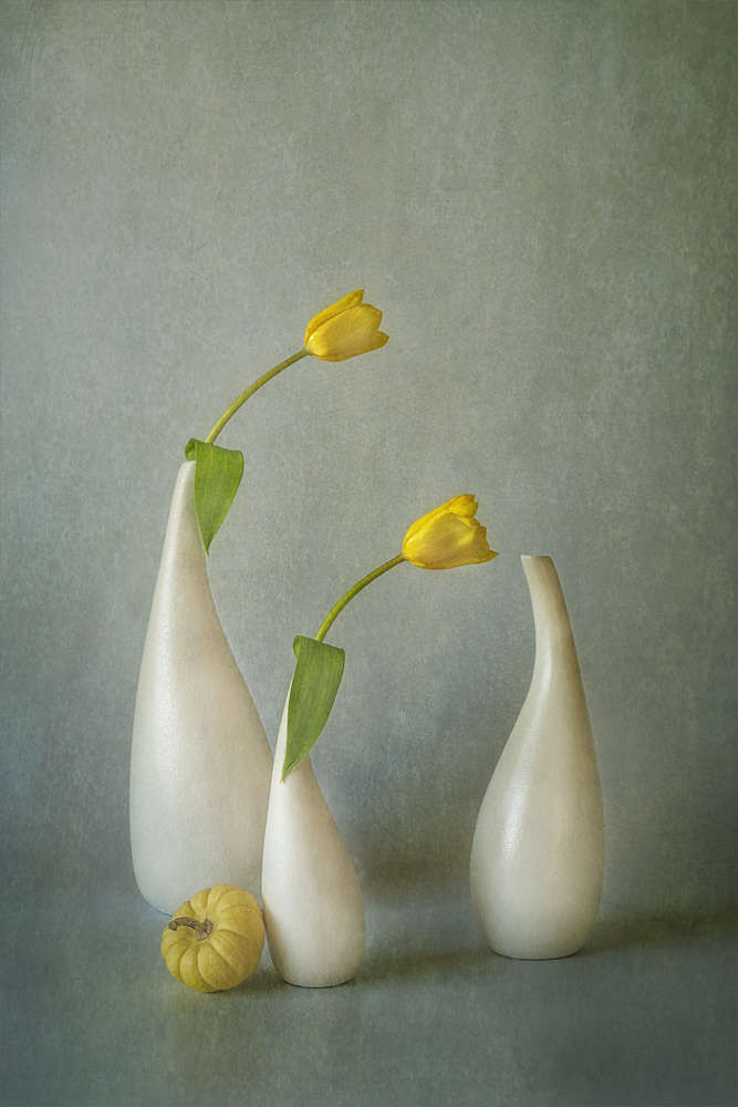 Yellow Tulip and Mini Squash von Lydia Jacobs