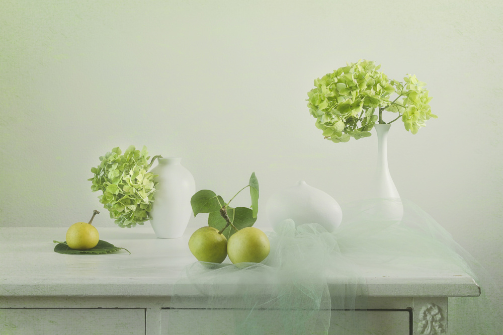 Green hydrangea and pear von Lydia Jacobs