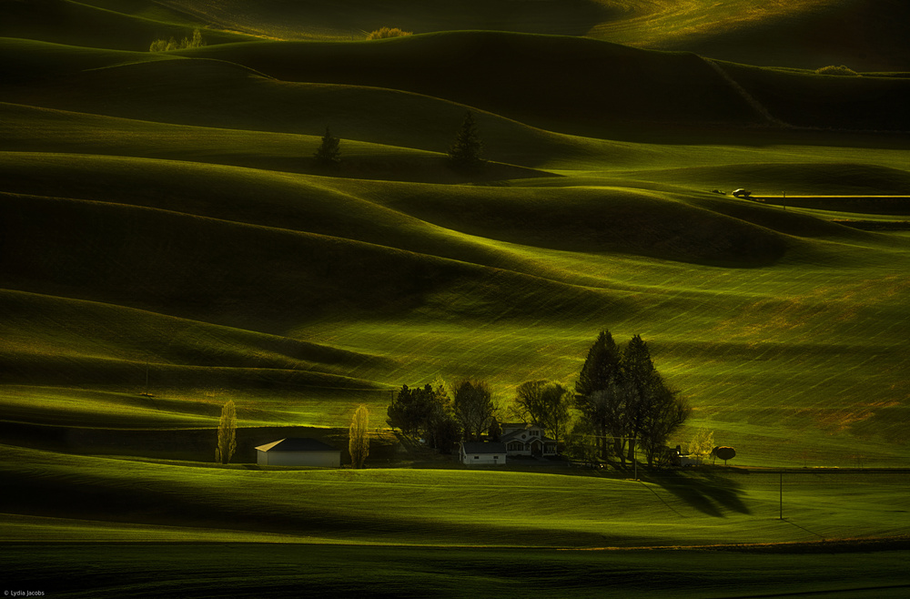 Green Farmland von Lydia Jacobs