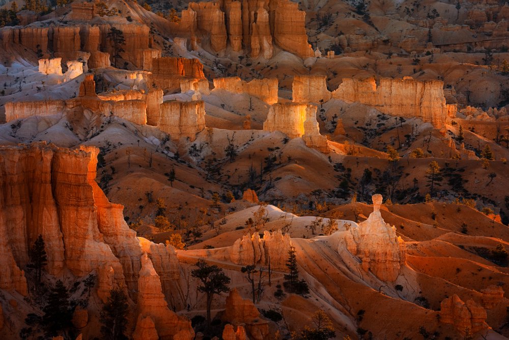 Bright Hoodoos von Lydia Jacobs