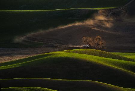 Behind the tree