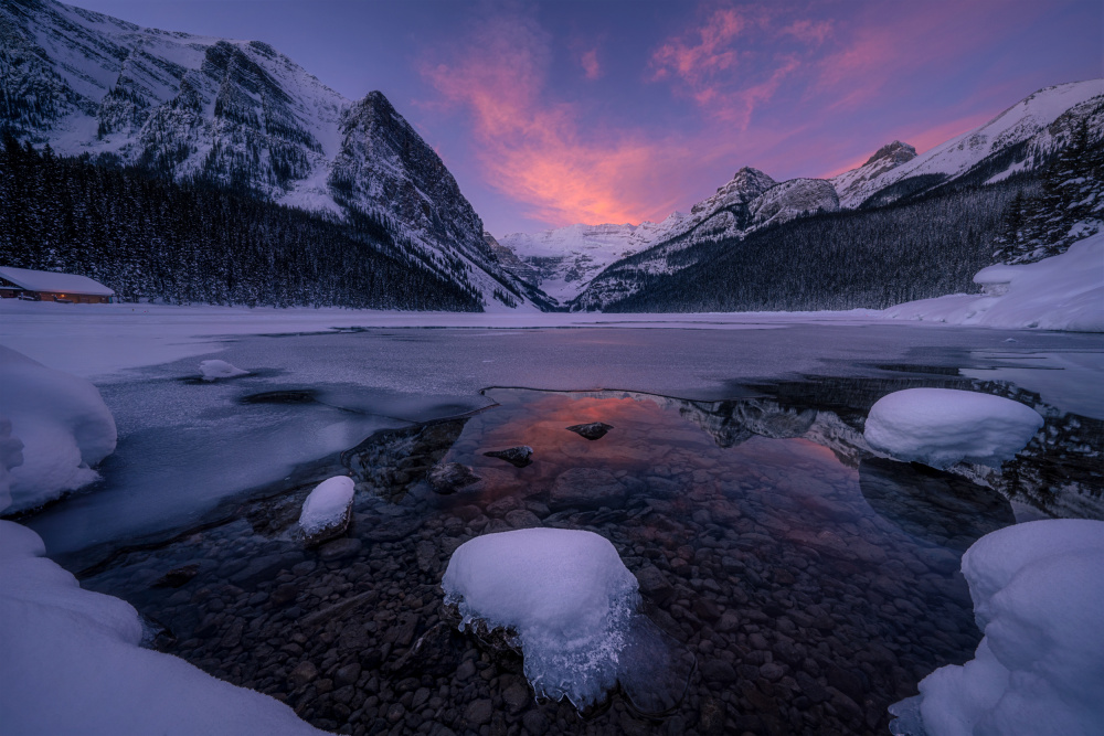 Pretty Morning at Lake Louise von Lydia Jacobs