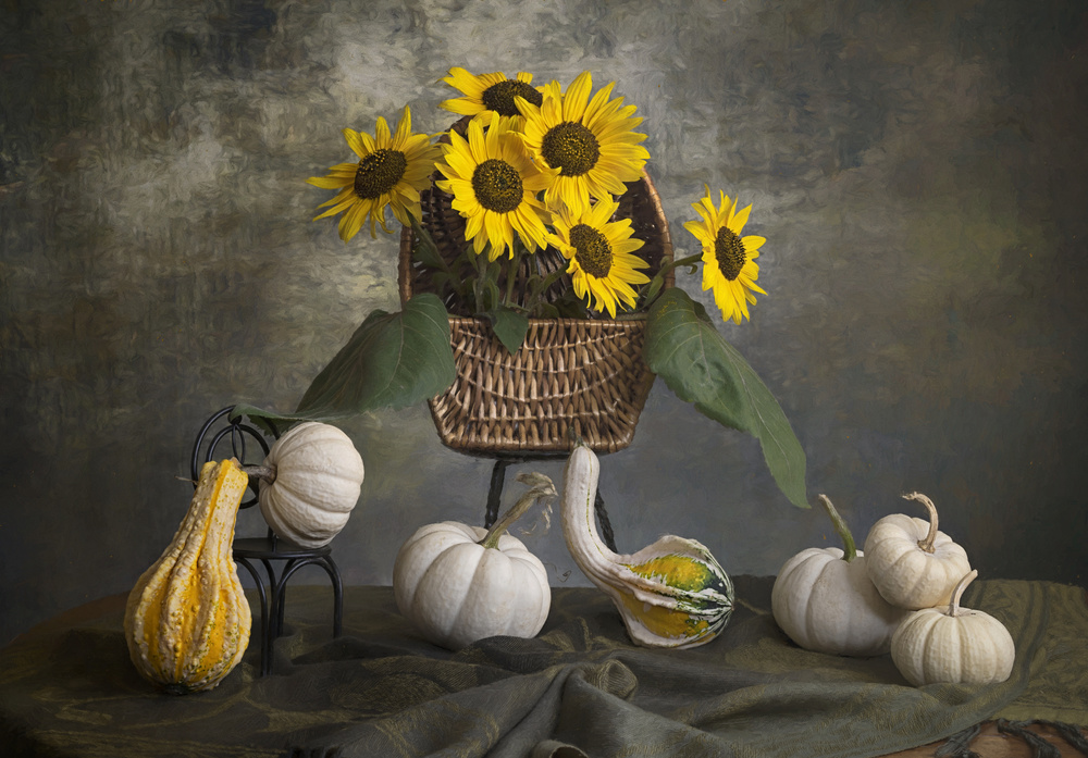 Squashes von Lydia Jacobs