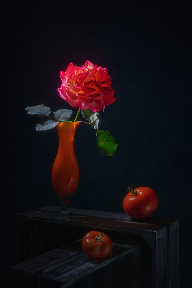 Glowing Rose and Tomato von Lydia Jacobs