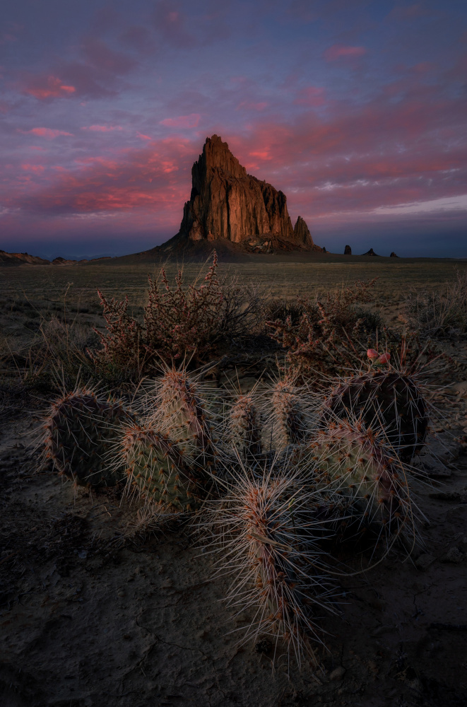 Sunrise at Shiprock von Lydia Jacobs