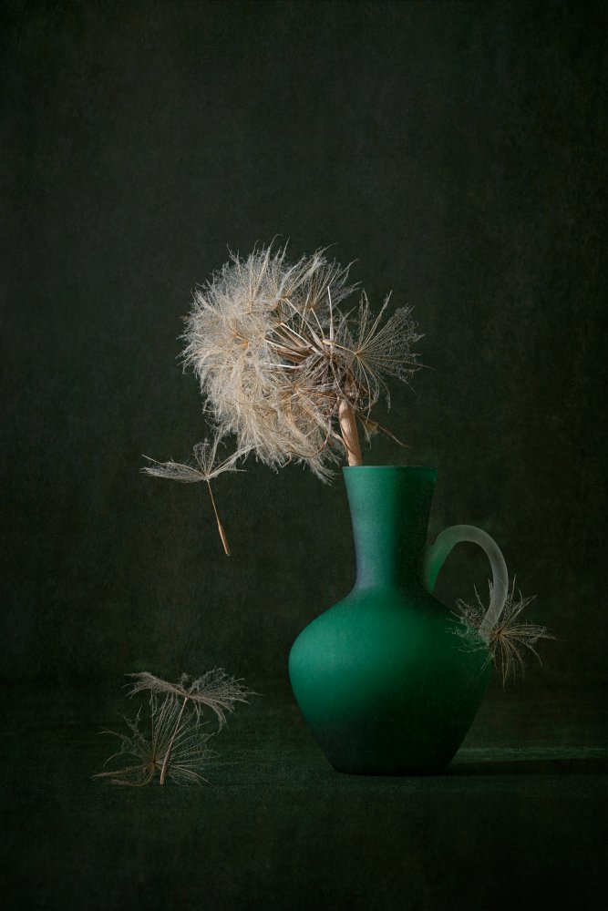 Dancing Dandelion von Lydia Jacobs