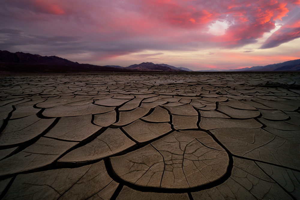 Dryland Twilight von Lydia Jacobs