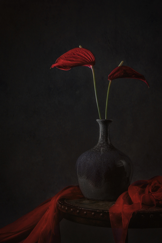 Tropical Anthurium von Lydia Jacobs