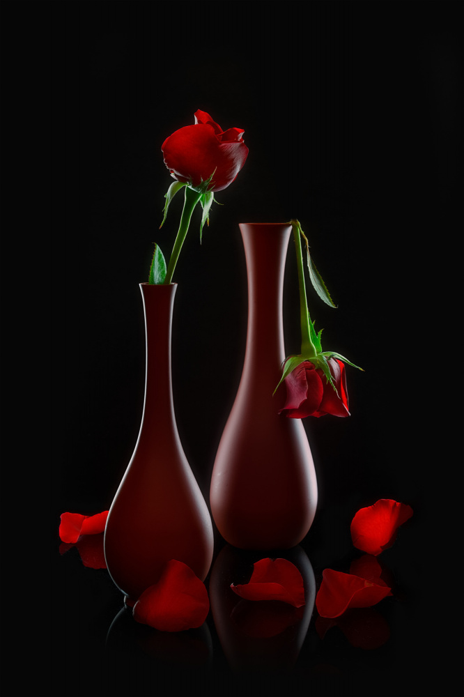 Valentines Roses von Lydia Jacobs