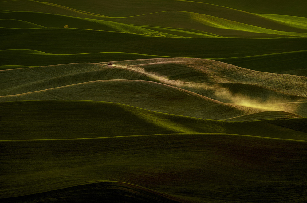 Early Spring Wheat Field von Lydia Jacobs