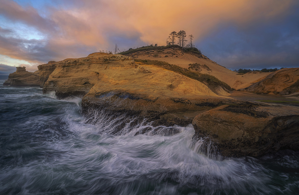 Wave on the shore von Lydia Jacobs