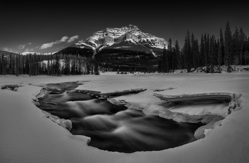 Winter Athabasca Falls von Lydia Jacobs