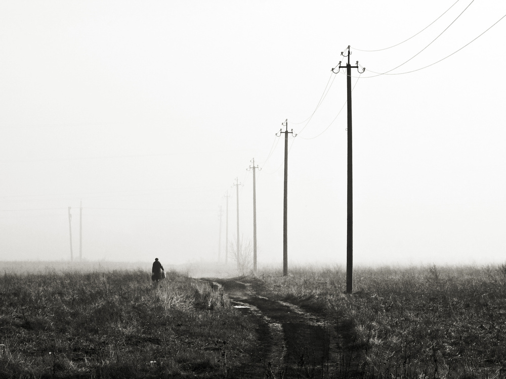 Despair von Lyubov Furs