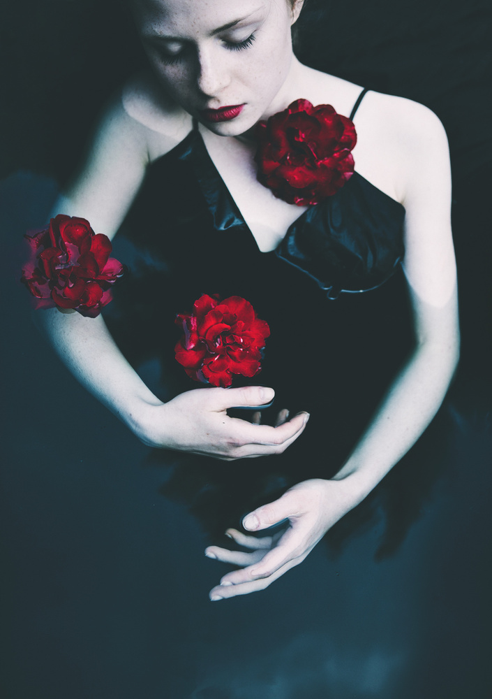 Roses von Magdalena Russocka