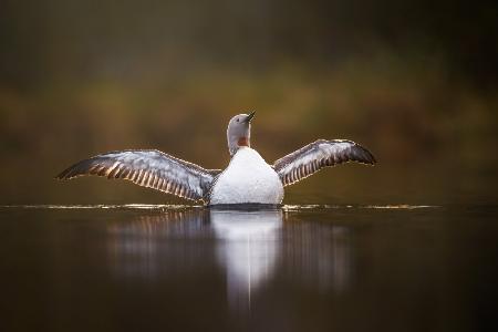 Greeting the morning with open arms