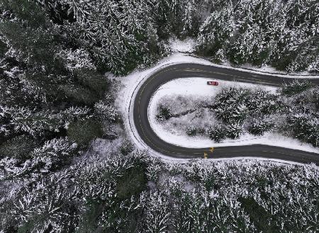 Snowy Road