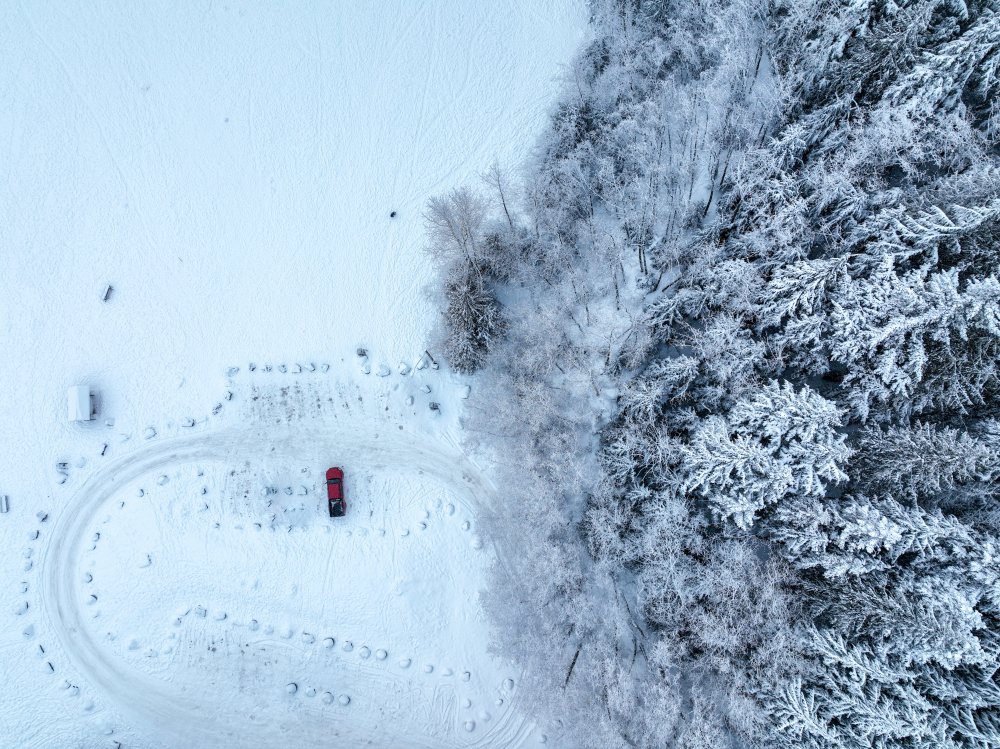 White and red von Mahmoud Ardeshiri