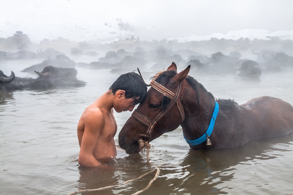 Compassion&amp;Friendship von Mahmut Özdemir