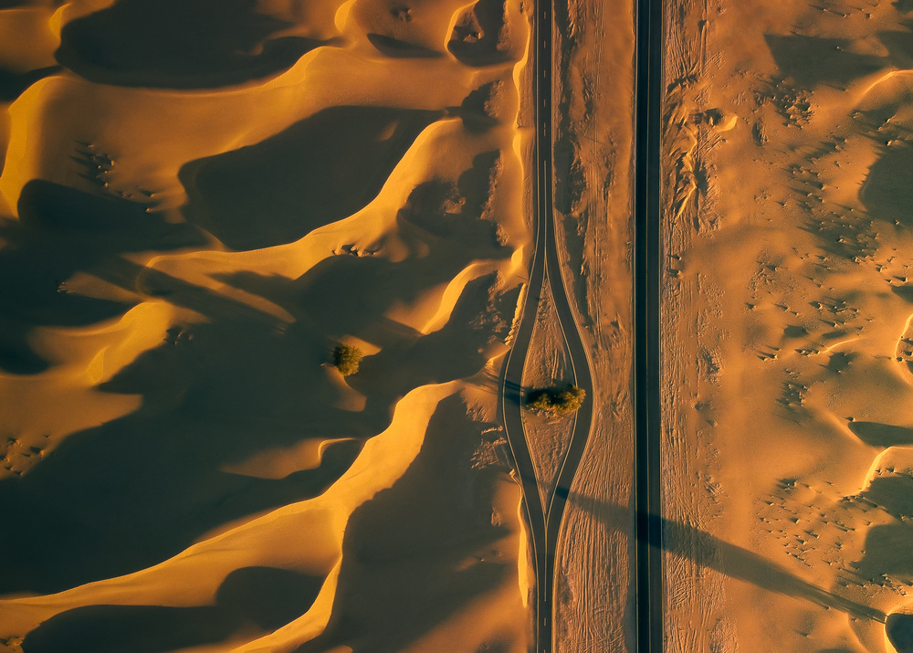 ALQUDRA DESERT von Majid Behzad