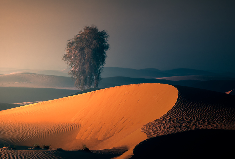 ALQUDRA DESERT von Majid Behzad