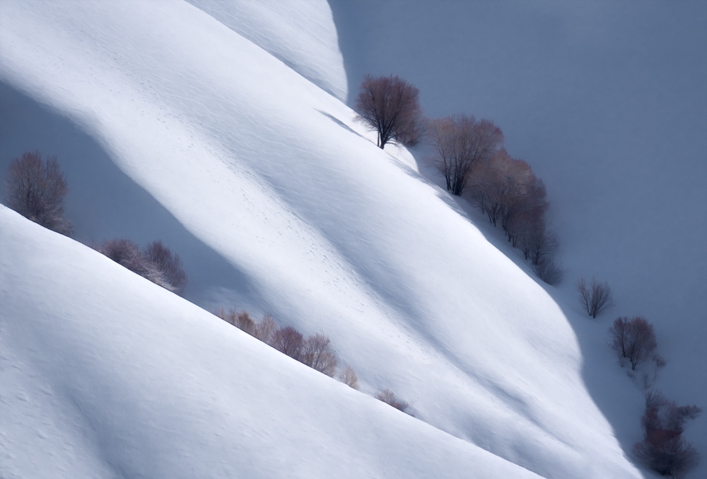 Trees and Pure Snow von Majid Behzad