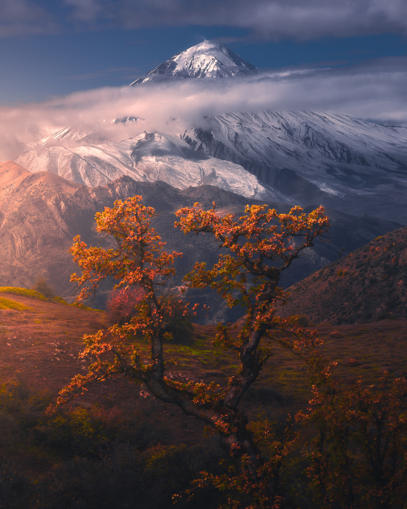 Autumnal theme in Alborz Mountains von Majid Behzad