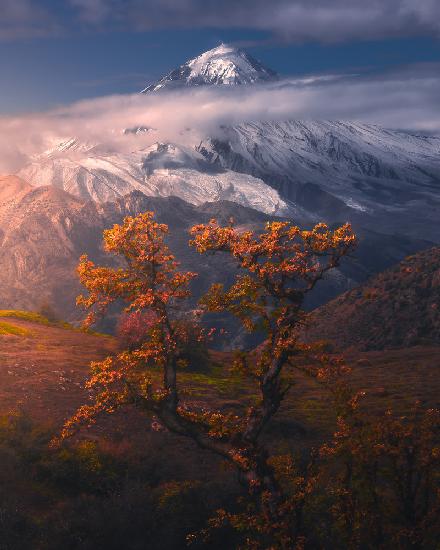 Autumnal theme in Alborz Mountains