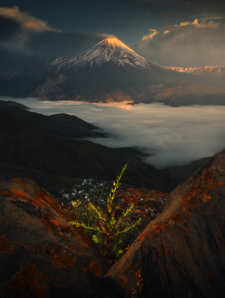 Mount Damavand in Spring von Majid Behzad