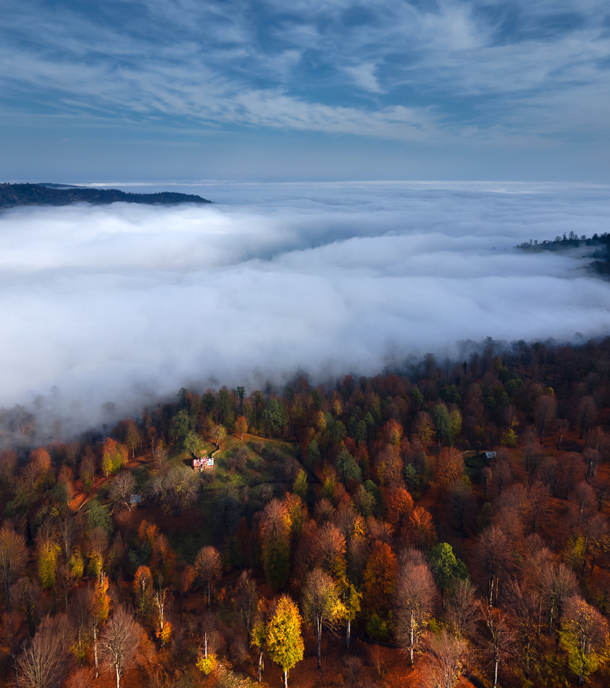 Foggy Forest Panoramic View von Majid Behzad