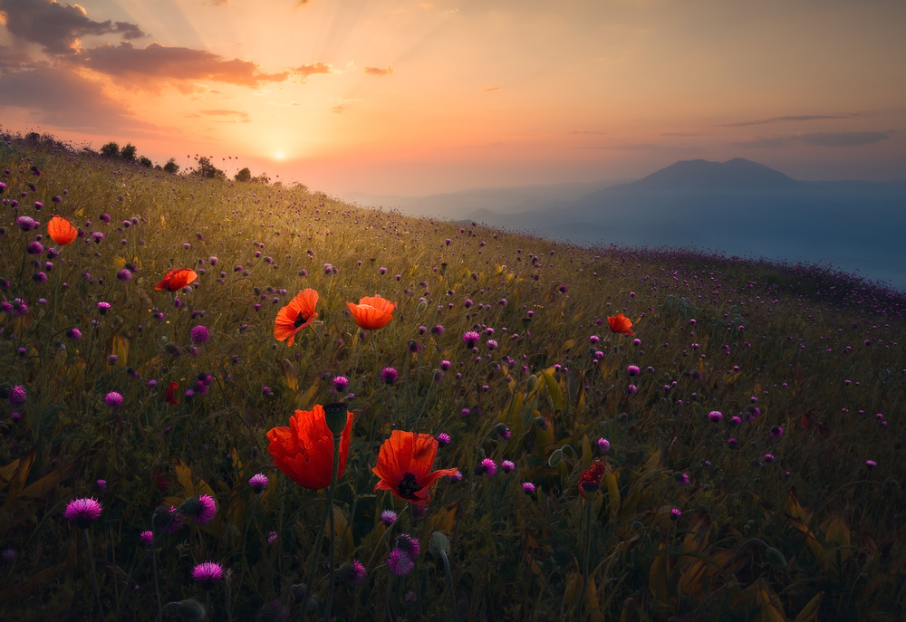 Rudbar Heights in Spring von Majid Behzad