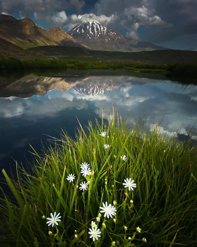 Summer Theme in Alborz Heights von Majid Behzad