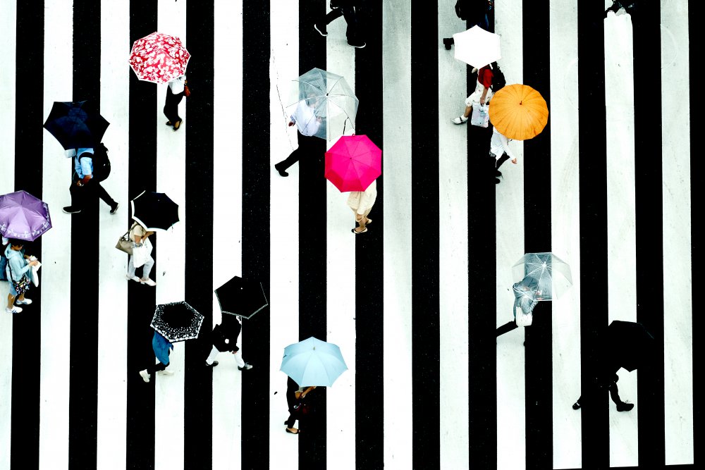 crossing von Makoto Nishikura