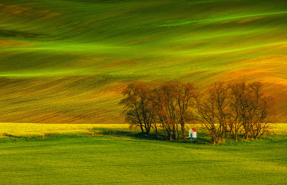 A colorful day von Mandru Cantemir