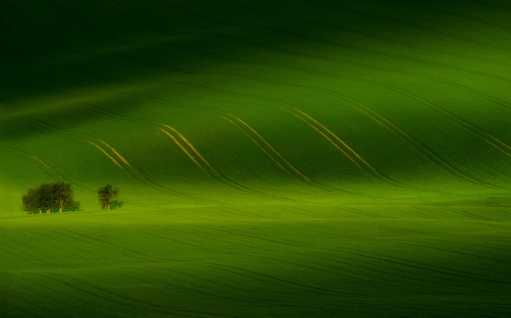 Rolling hills von Mandru Cantemir