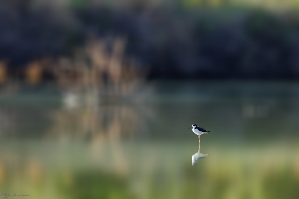 Meditation von Manoj Parameswaran