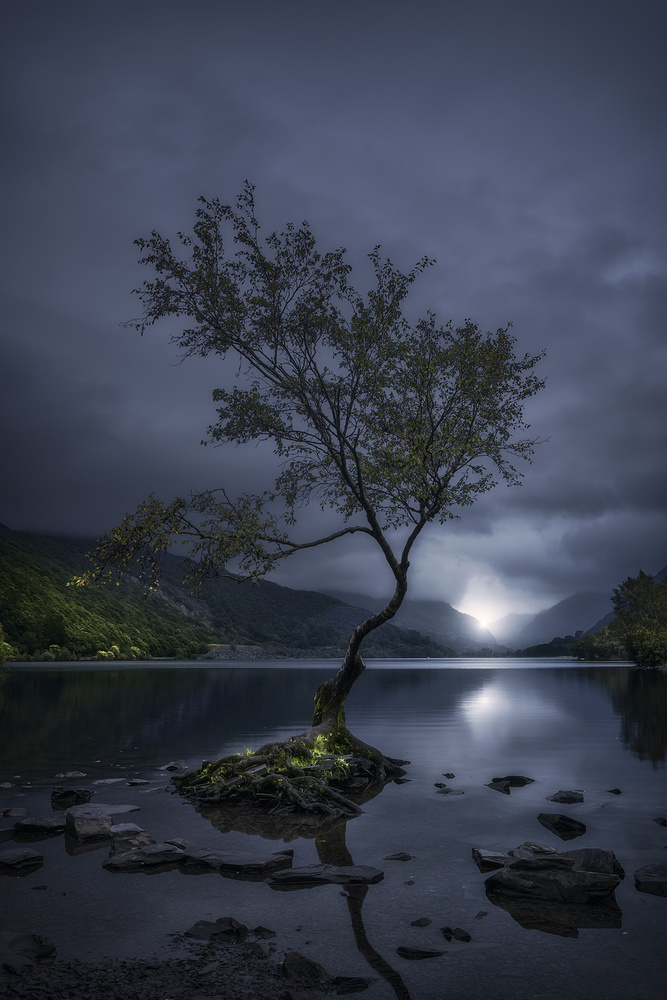 Lake of Light von Manuel Martin