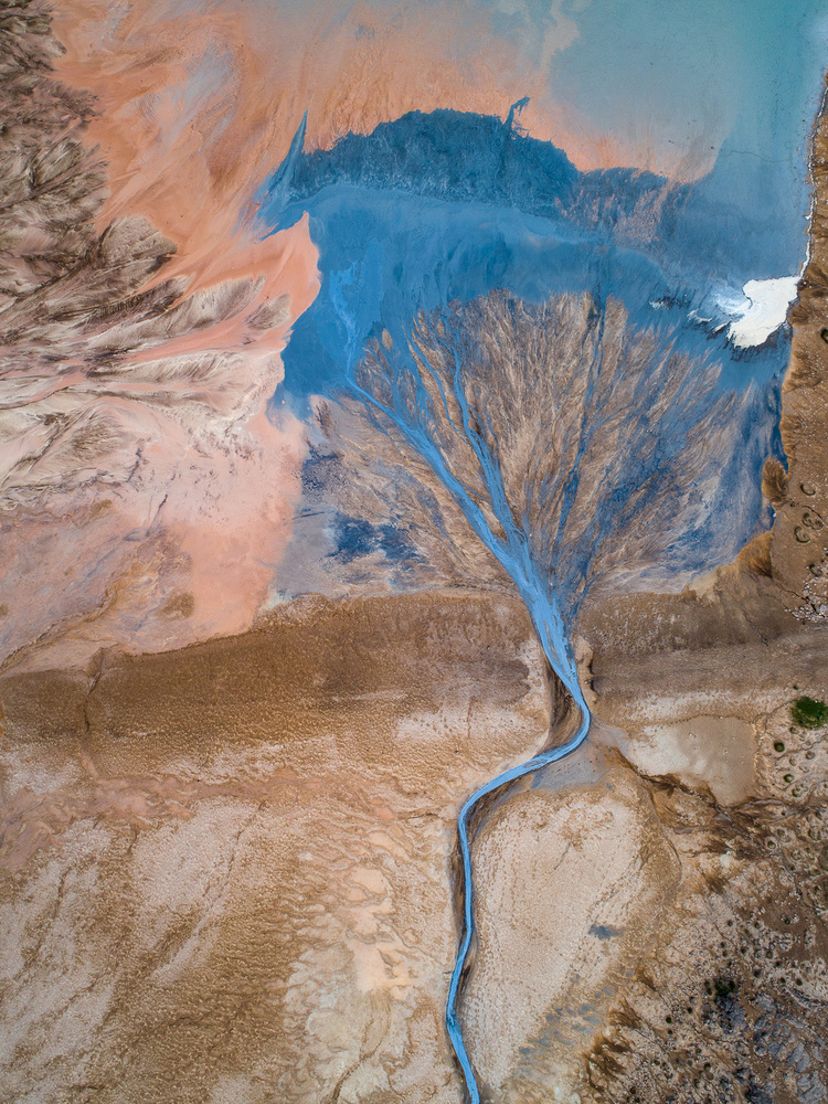 The blue tree von Marc Pelissier