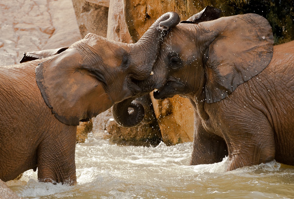 Play time von Marc Pelissier