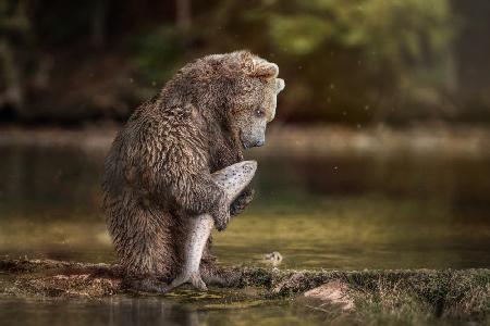 FishingBear