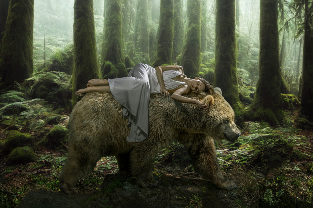 DreamBear von Marcel Egger